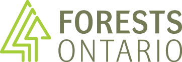 forests ontario logo