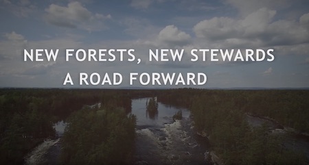 Episode 2 - New Forests, New Stewards, A Road Forward