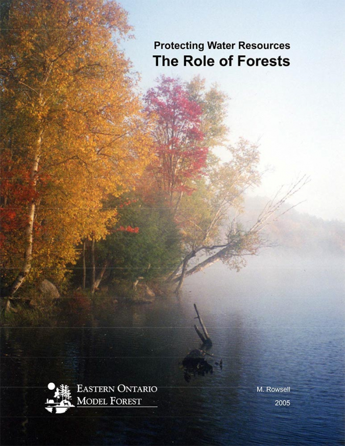 Protecting Water Resources: The Role of Forests