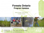 Forests Ontario Program Updates