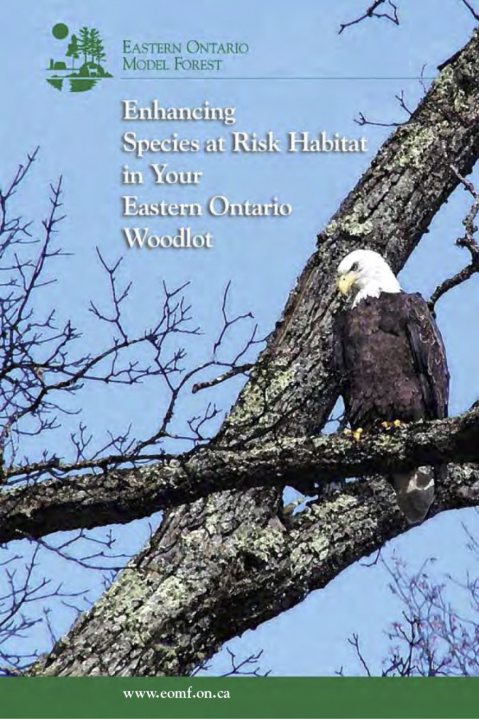 Enhancing Species at Risk Habitat in Your Eastern Ontario Woodlot