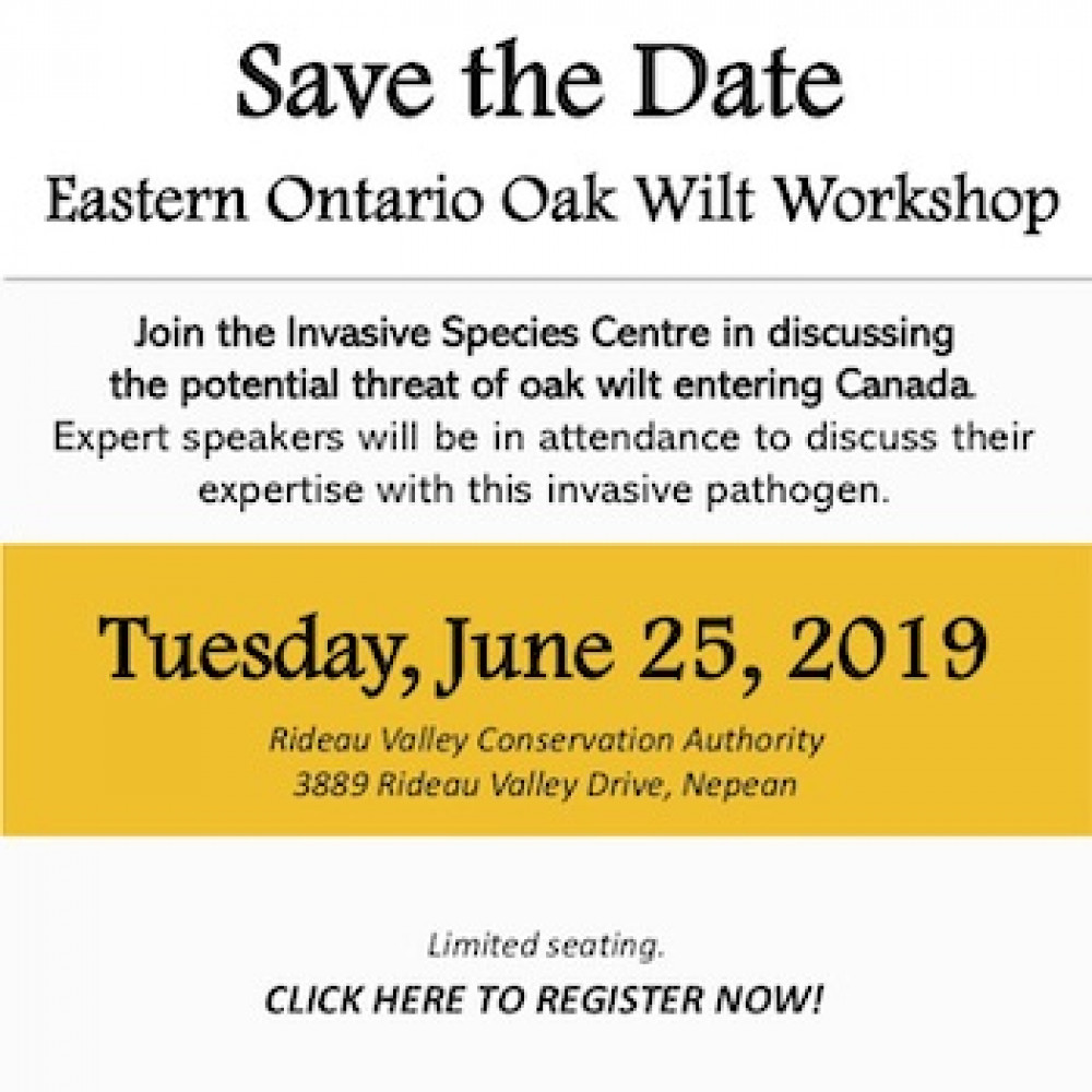 oak wilt workshop