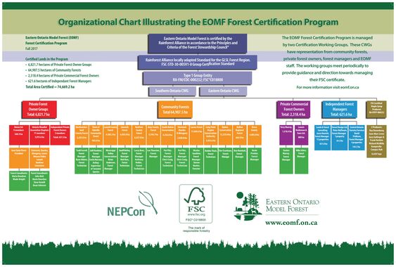 EOMF FC Org Chart Fall 2019