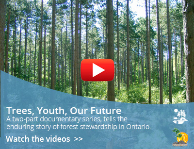 trees youth future video