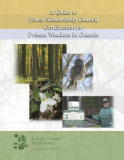 A Guide to Forest Stewardship Council Certification for Private Woodlots in Ontario