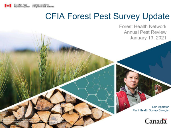 CFIA Forest Pest Survey Update - January 13, 2021