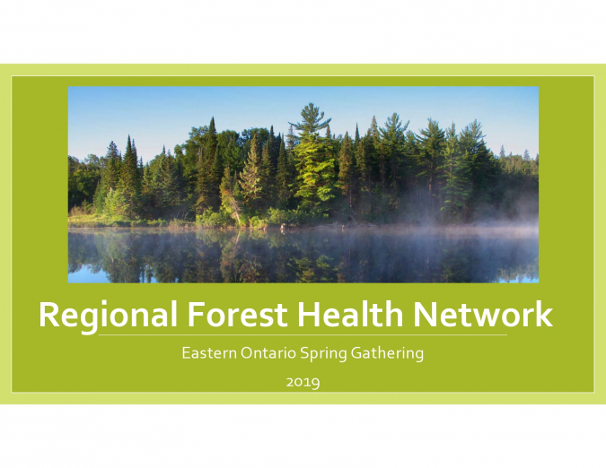 Regional Forest Health Network