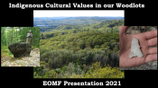 Cultural Values in your woodlot