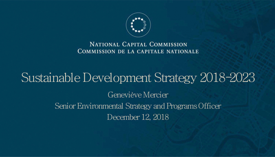 Sustainable Development Strategy 2018-2023