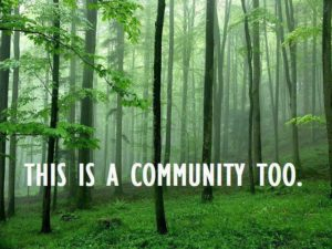 EOMF Partners with Bluesource Canada to generate carbon offsets for community forests across Ontario