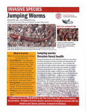 Jumping Worms - English