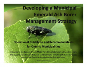 Developing a Municipal Emerald Ash Borer Management Strategy