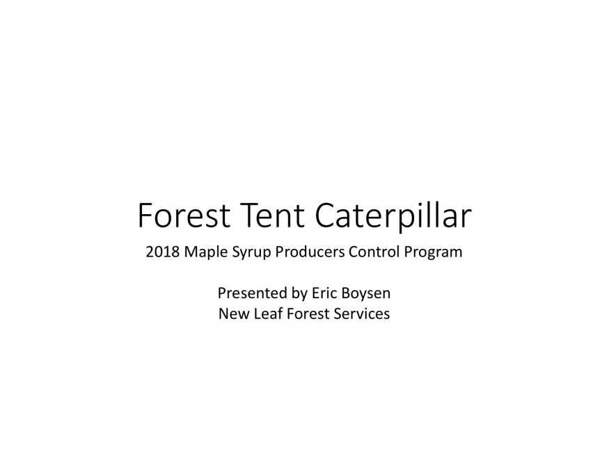 Forest Tent Caterpillar