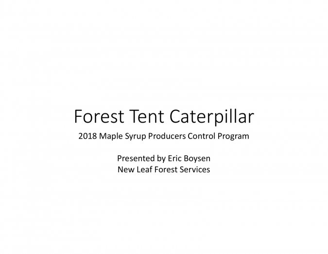 Forest Tent Caterpillar