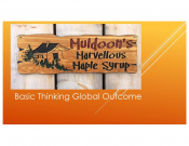 Maple Syrup - Basic Thinking Global Outcomes