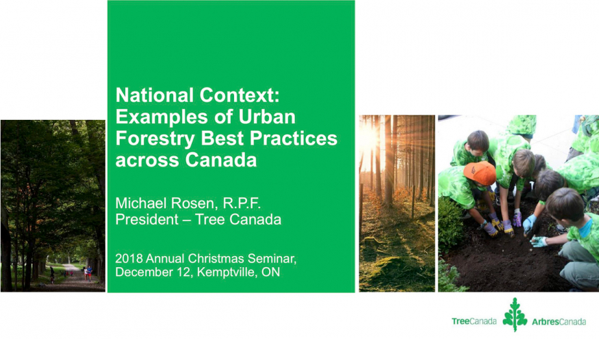 National Context: Examples of Urban Forestry Best Practices across Canada