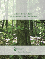 The First Twenty Years: The Foundation for the Future (2011-2012)