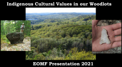 Cultural Values in your woodlot