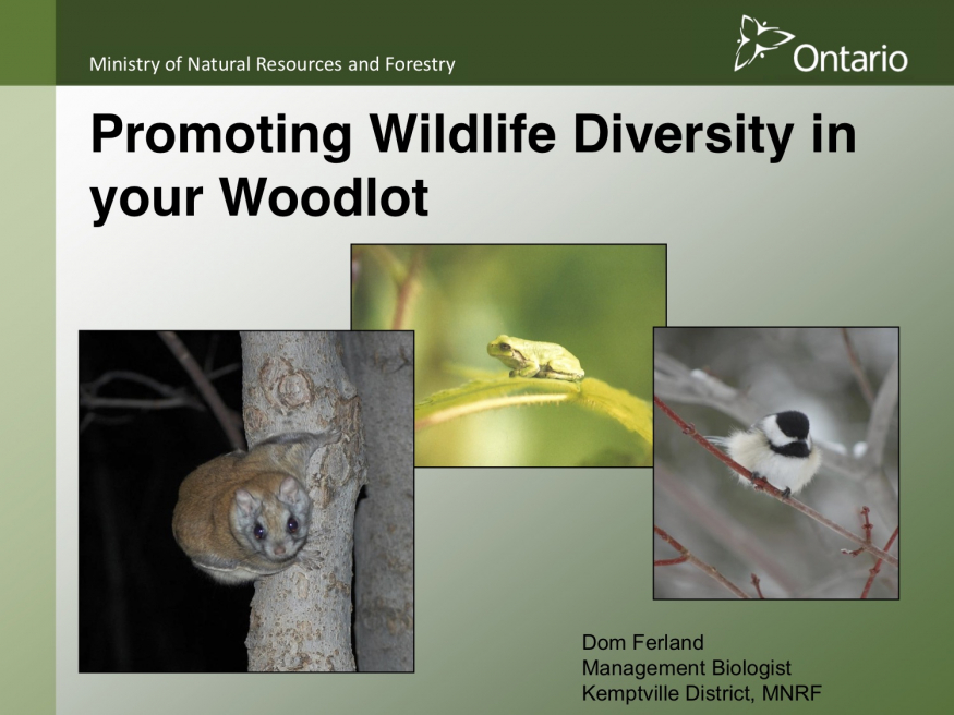 Promoting Wildlife Diversity in your Woodlot