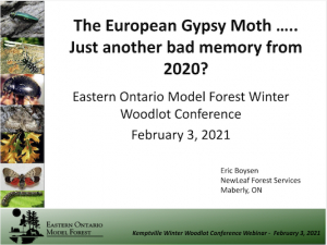 The European Gypsy Moth...Just Another bad memory from 2020?