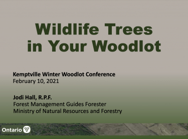 Wildlife Trees in your woodlot