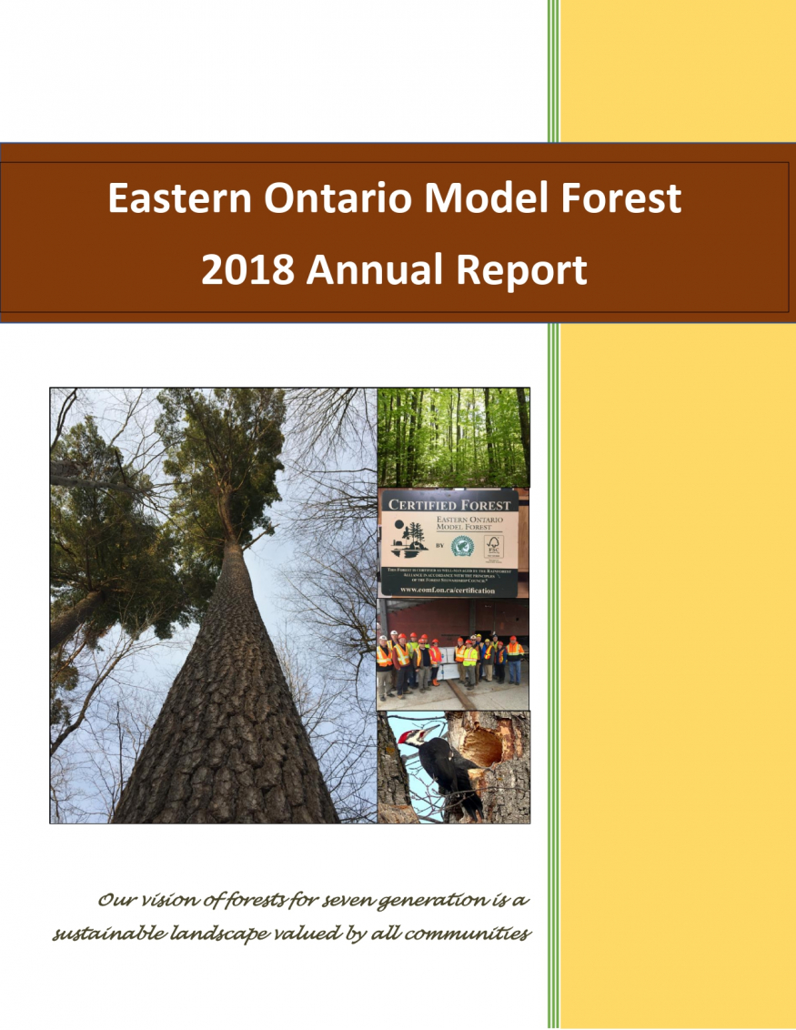 2018 Annual Report