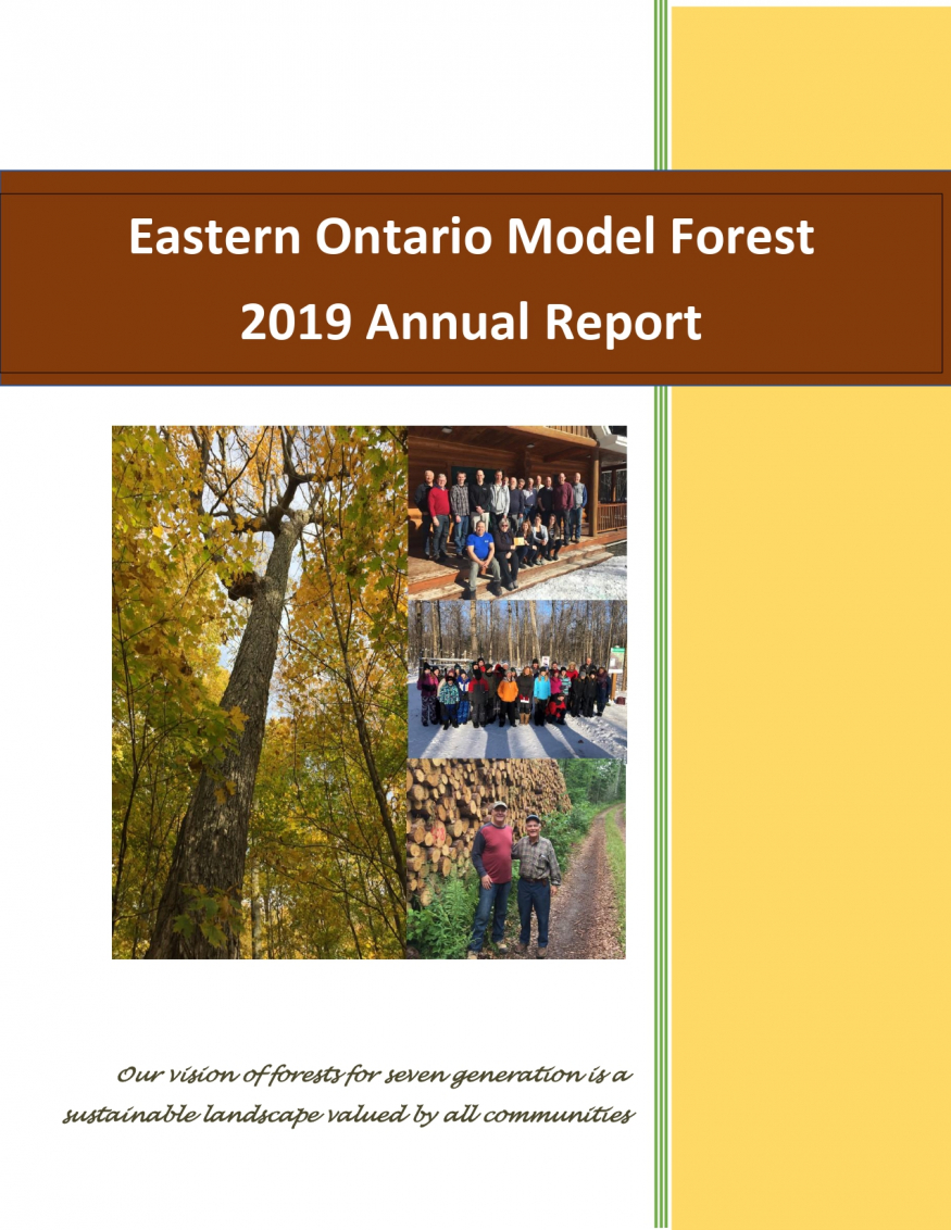 2019 Annual Report