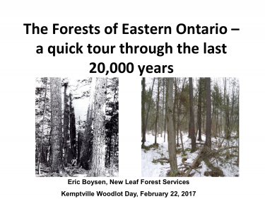 The Forests of Eastern Ontario - A Quick Tour Through the Last 20,000 Years