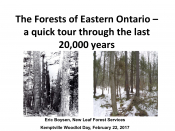 The Forests of Eastern Ontario - A Quick Tour Through the Last 20,000 Years