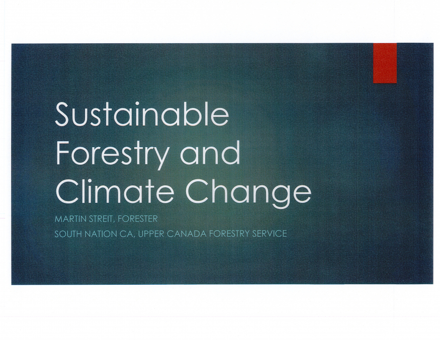 Sustainable Forestry and Climate Change