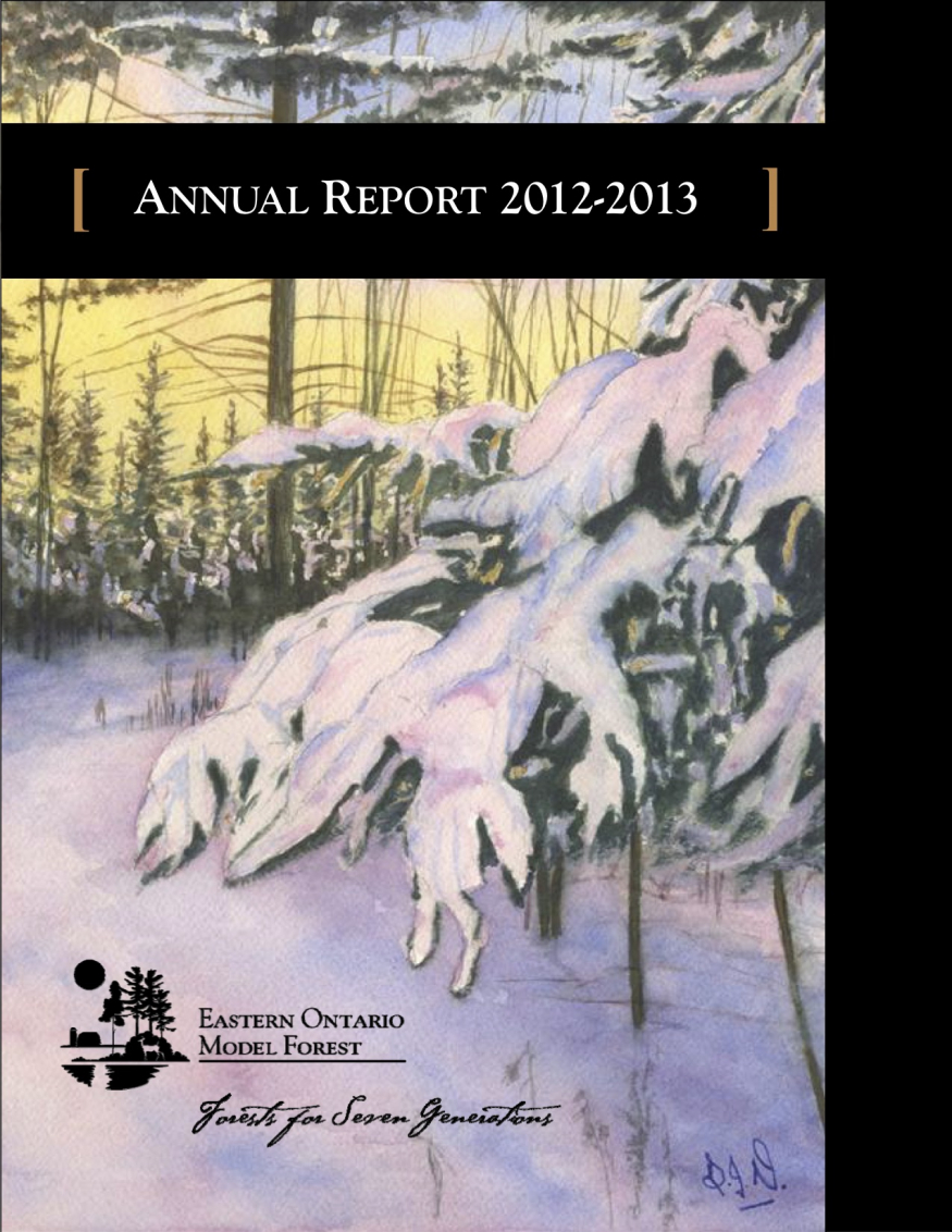 Annual Report (2012-2013)