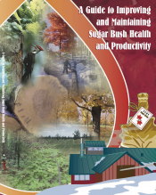 A Guide to Improving &amp; Maintaining Sugar Bush Health &amp; Productivity
