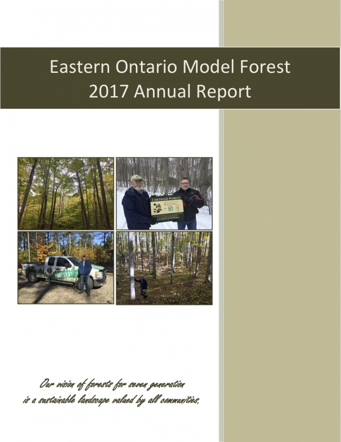 Annual Report (2016-2017)