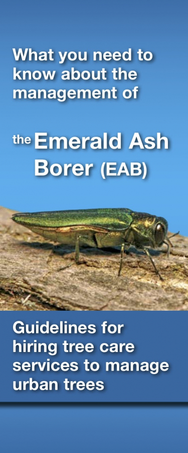 What you need to know about the management of the Emerald Ash Borer