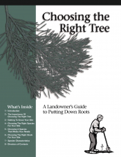 Choosing the Right Tree