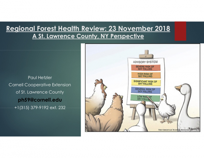 Regional Forest Health Review: A St Lawrence County, NY Persective