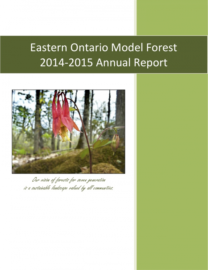 Annual Report (2014-2015)