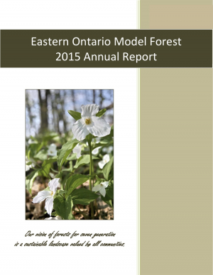 Annual Report (2015-2016)