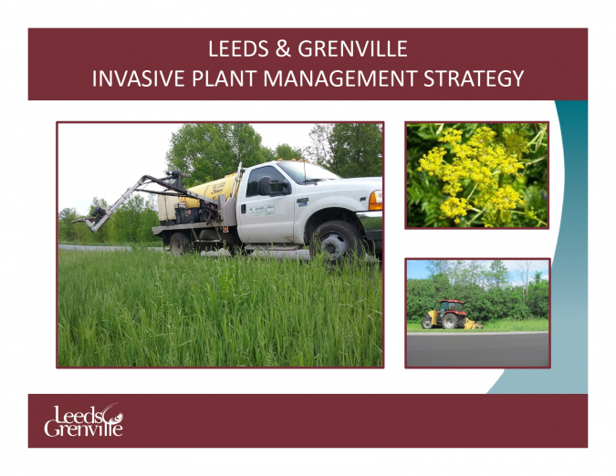 Leeds &amp; Grenville - Invasive Plant Management Strategy