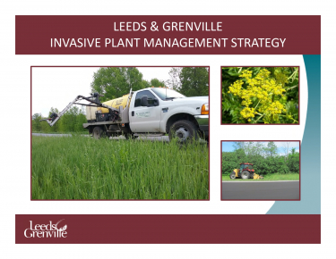 Leeds & Grenville - Invasive Plant Management Strategy