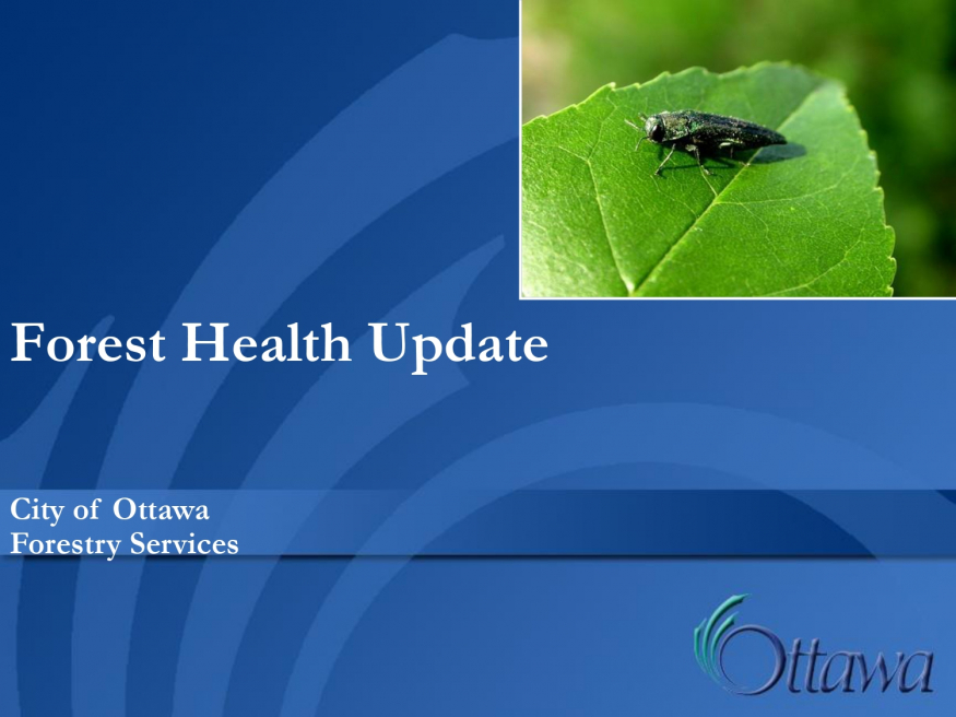 Forest Health Update - City of Ottawa Forestry Services - 2021 Pest Review Presentation