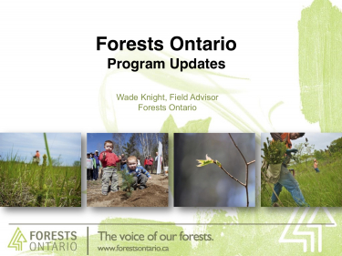 Forests Ontario Program Updates