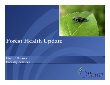 Forest Health Update