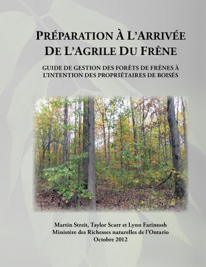 Préparation à l’arrivée de l’agrile du frêne