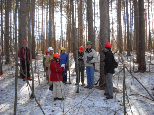 Trees, Youth, Our Future: Exciting New Documentary Series